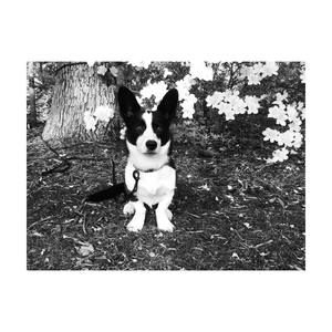 Meet your Posher, Leanna